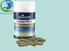Hộp Oyster plus