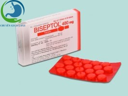 Biseptol 480mg