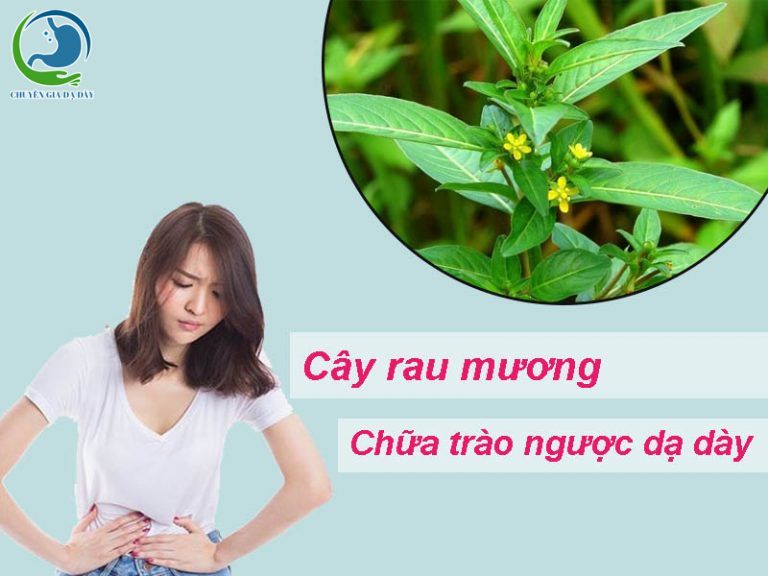 Cây rau mương chữa trào ngược dạ dày