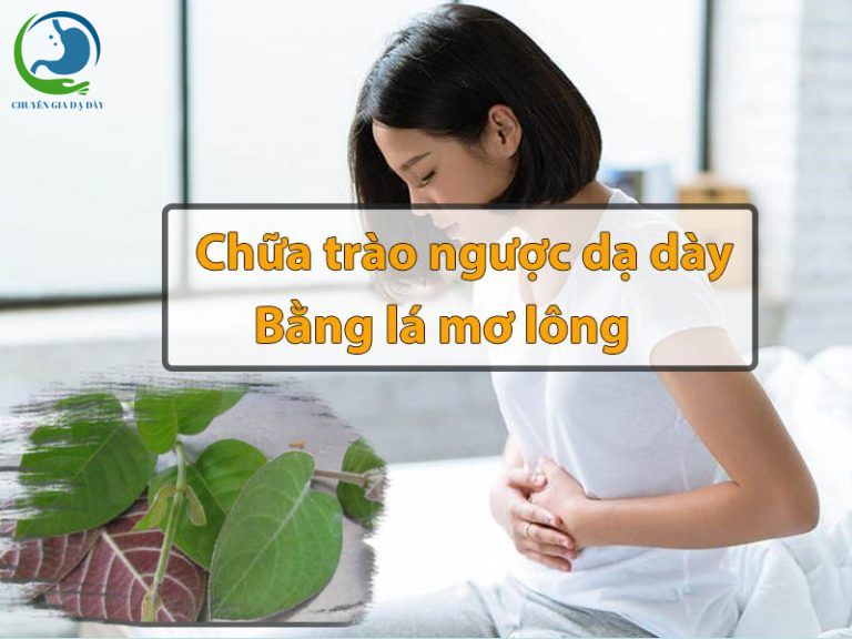 Chữa trào ngược dạ dày bằng lá mơ lông