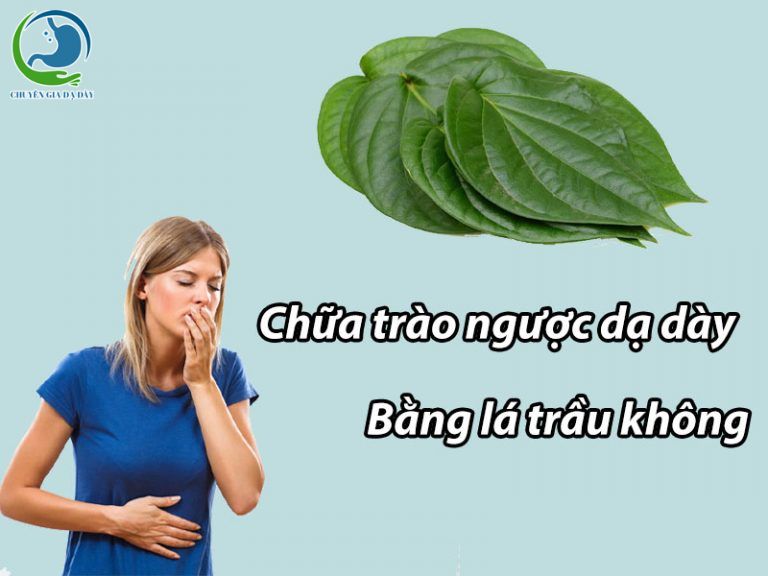 Chữa trào ngược dạ dày bằng lá trầu không