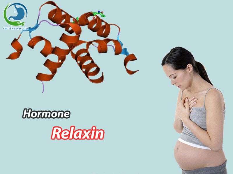 Lượng hormone relaxin tăng cao khi mang thai là nguyên nhân khiến bà bầu bị trào ngược dạ dày thực quản