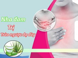 Trị trào ngược dạ dày bằng nha đam