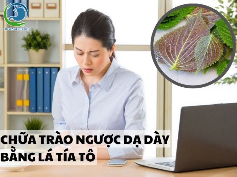Chữa trào ngược dạ dày bằng lá tía tô